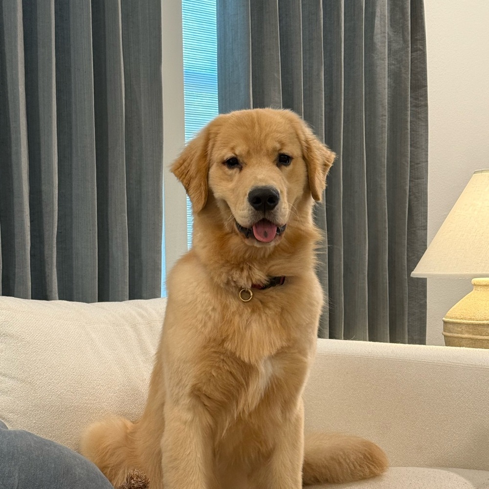 Meet your Posher, Hall